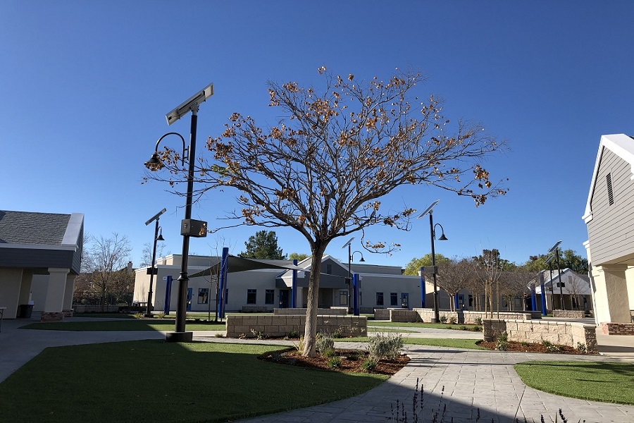 best outdoor solar lights